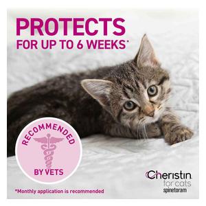 Cheristin for Cats 6 ct - Item # 40620