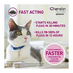 Cheristin for Cats 6 ct - Item # 40620