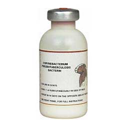 goat lymphadenitis caseous vaccine vaccines bacterin corynebacterium pseudotuberculosis sheep valleyvet