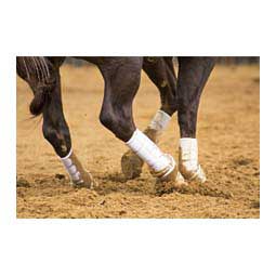 Iconoclast Tall Hind Ortho Horse Boots White - Item # 40832