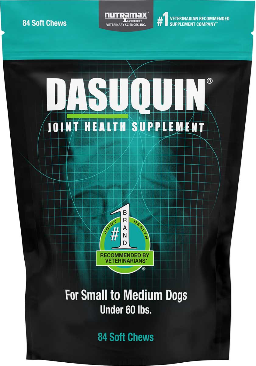 dasuquin-soft-chews-for-dogs-nutramax-laboratories-joint-supplements