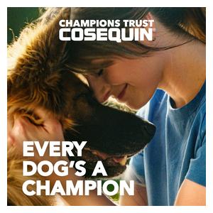 Cosequin Joint Health Supplement with MSM for Dogs 250 ct - Item # 40876