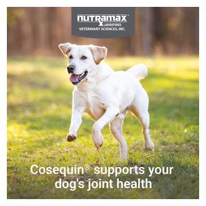 Cosequin Joint Health Supplement with MSM for Dogs 250 ct - Item # 40876