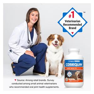 Cosequin Joint Health Supplement with MSM for Dogs 250 ct - Item # 40876