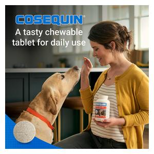 Cosequin Joint Health Supplement with MSM for Dogs 250 ct - Item # 40876