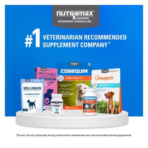 Cosequin Joint Health Supplement with MSM for Dogs 250 ct - Item # 40876