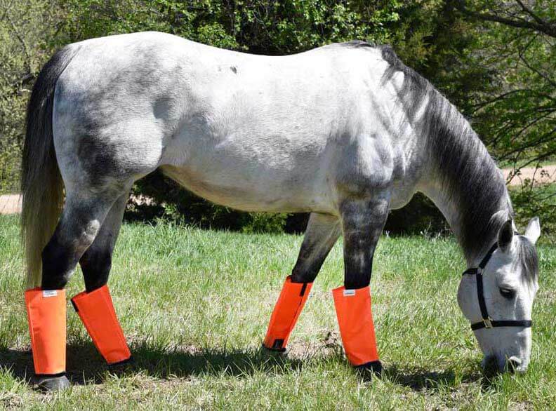 M Yearling S L Shoofly Horse Leggings 4 pack NIB All Sizes Mini 