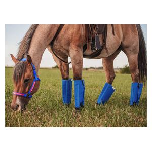 Shoofly Horse Leggins Blue - Item # 41030
