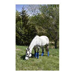 Shoofly Horse Leggins Blue - Item # 41030