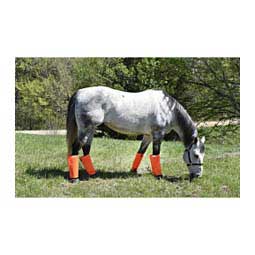 Shoofly Horse Leggins Orange - Item # 41030