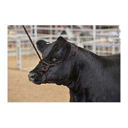 Sullivan's Cattle Rope Halter Black/Red - Item # 41255