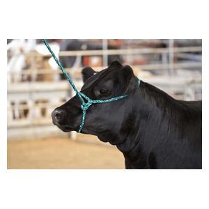 Sullivan's Cattle Rope Halter Green/White - Item # 41255