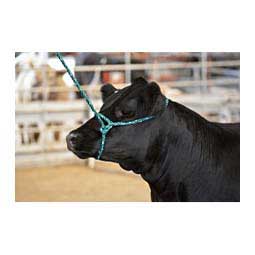 Sullivan's Cattle Rope Halter Green/White - Item # 41255