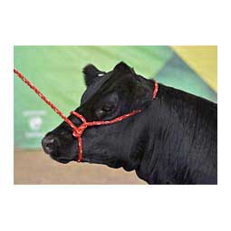 Sullivan's Cattle Rope Halter Red/White - Item # 41255