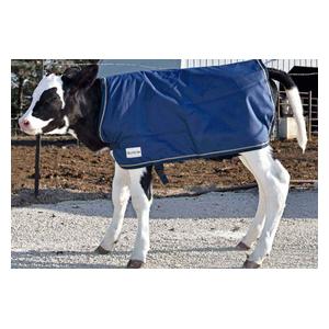 Premium Calf Blanket Navy - Item # 41256