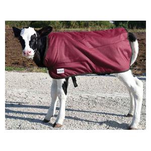 Premium Calf Blanket Burgundy 24 in - Item # 41256