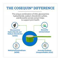 Cosequin ASU Joint Health Supplement for Horses 500 gm - Item # 41386