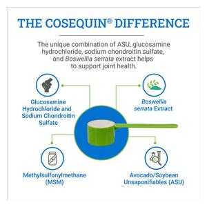 Cosequin ASU Joint Health Supplement for Horses 500 gm - Item # 41386
