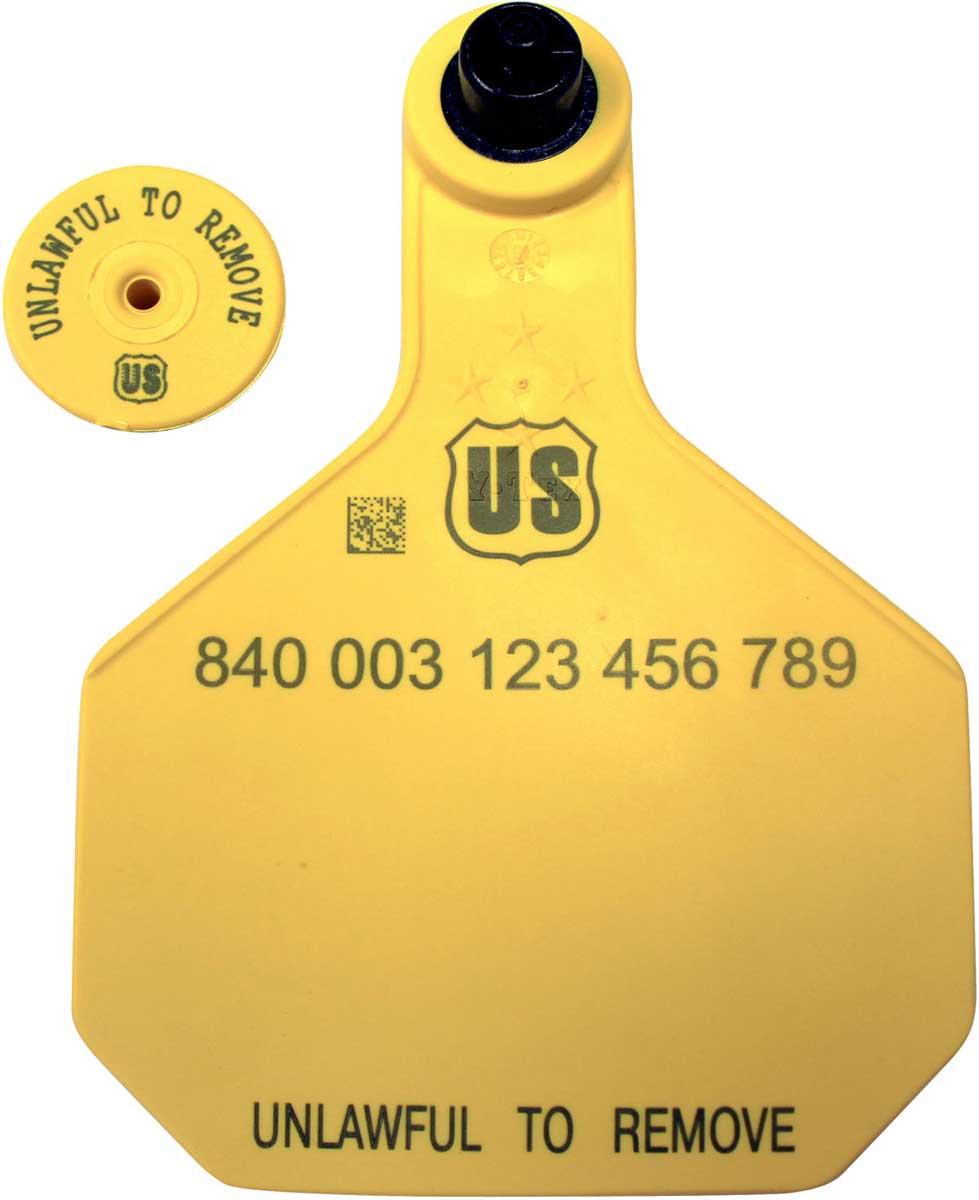 Valley Vet - 840 USDA Panel Large Blank Cattle ID Ear Tags with Male ...