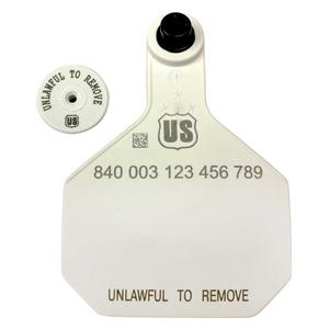840 USDA Panel Large Blank Cattle ID Ear Tags with Male Buttons White - Item # 41499