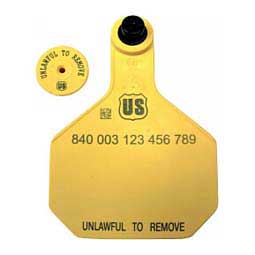840 USDA Panel Large Blank Cattle ID Ear Tags w/Male Buttons Yellow - Item # 41499