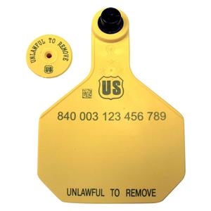 840 USDA Panel Large Blank Cattle ID Ear Tags with Male Buttons Yellow - Item # 41499