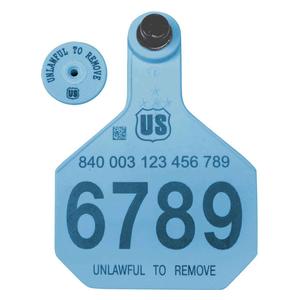 840 USDA Panel Large Numbered Cattle ID Ear Tags with Male Buttons Blue - Item # 41500