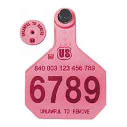 840 USDA Panel Large Numbered Cattle ID Ear Tags w/ Male Buttons Pink - Item # 41500