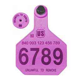 840 USDA Panel Large Numbered Cattle ID Ear Tags w/ Male Buttons Purple - Item # 41500