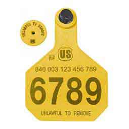 840 USDA Panel Large Numbered Cattle ID Ear Tags w/ Male Buttons Yellow - Item # 41500