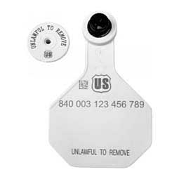 840 USDA Panel Medium Blank Cattle ID Ear Tags w/Male Buttons White - Item # 41501