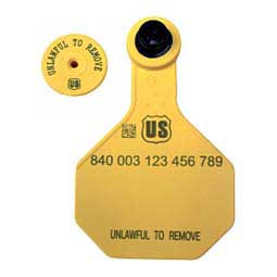 840 USDA Panel Medium Blank Cattle ID Ear Tags w/Male Buttons Yellow - Item # 41501