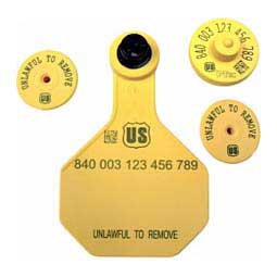 840 USDA FDX EID Ear Tags + Med Blank Matched Set Yellow - Item # 41503