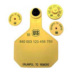 840 USDA FDX EID Ear Tags + Large Blank Matched Set Yellow - Item # 41505