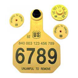 840 USDA FDX EID Ear Tags + Large Numbered Matched Set Yellow - Item # 41506