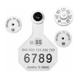 840 USDA HDX EID Ear Tags + Med Numbered Matched Set White - Item # 41508