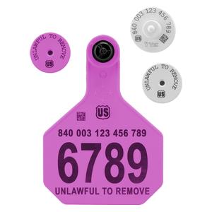 840 USDA HDX EID Ear Tags + Large Numbered Matched Set Purple - Item # 41510