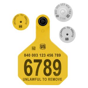 840 USDA HDX EID Ear Tags + Large Numbered Matched Set Yellow - Item # 41510