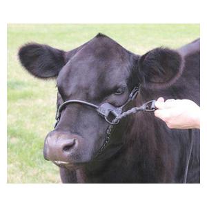 1st Class Show Halter Black S (650-1000 lb) - Item # 41536