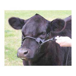 1st Class Show Halter Black M (850-1400 lb) - Item # 41537