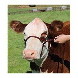 1st Class Show Halter Brown M (850-1400 lb) - Item # 41537