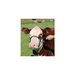 1st Class Show Halter Brown L (1400-1650 lb) - Item # 41538