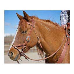 Justin Dunn Bitless Horse Bridle Hermann Oak Russet - Item # 41549