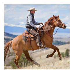 Justin Dunn Bitless Horse Bridle Hermann Oak Russet - Item # 41549