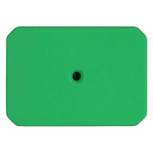 Swine Star Max Ear Tags Blank Green - Item # 41782