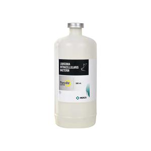 Porcilis Ileitis Swine Vaccine 250 dose - Item # 41862