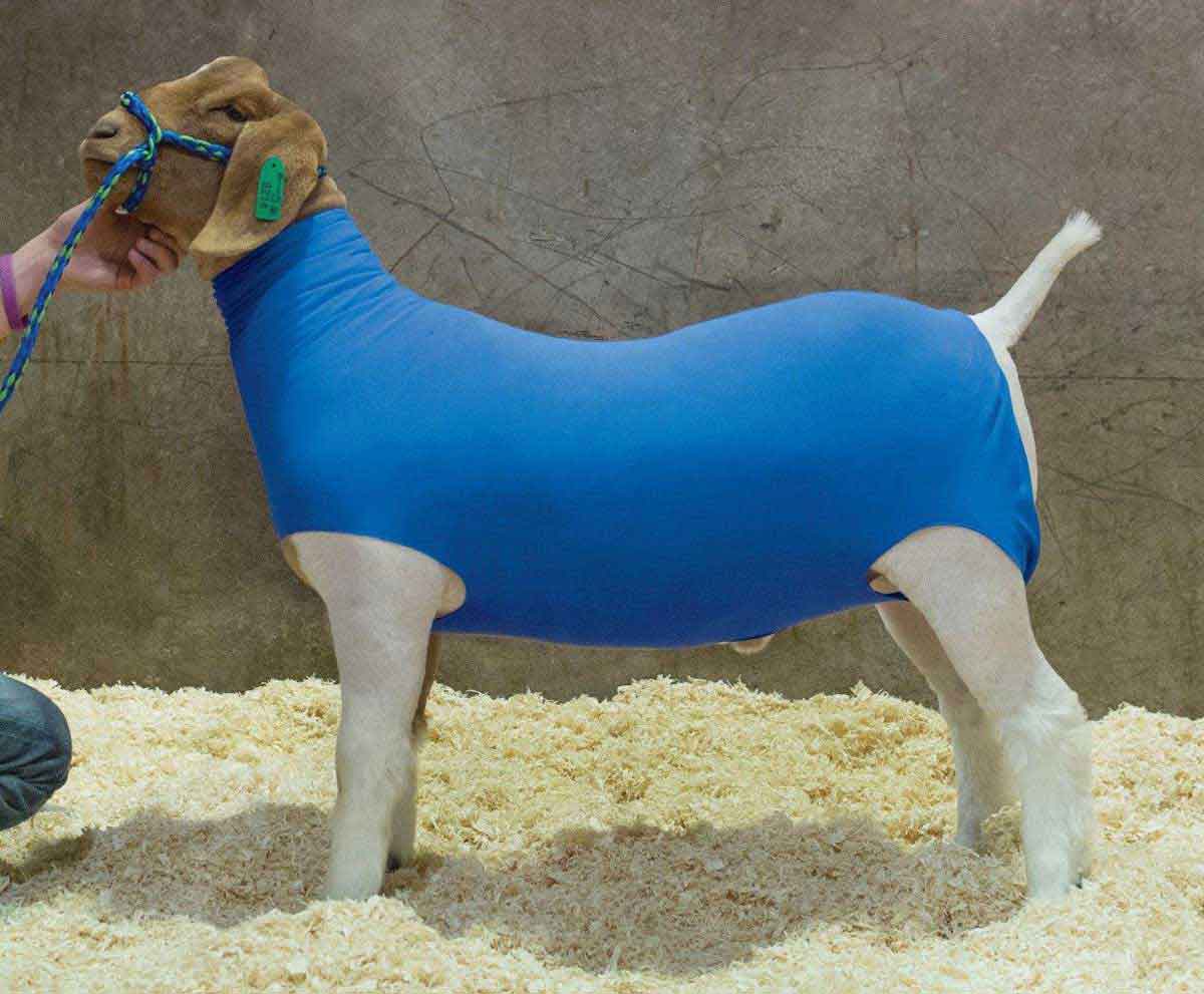 Valley Vet Cotton Goat Tube Weaver Livestock Blankets Tubes Farm