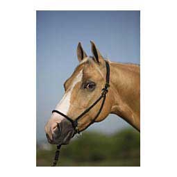 Control Rope Horse Halter Black - Item # 41973
