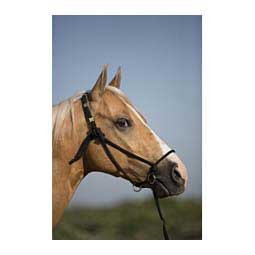 Control Rope Horse Halter Black - Item # 41973