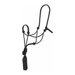 Economy Rope Halter with Lead Black - Item # 41974